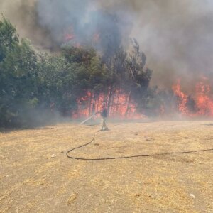 canakkalede orman yangini MObC1Amy