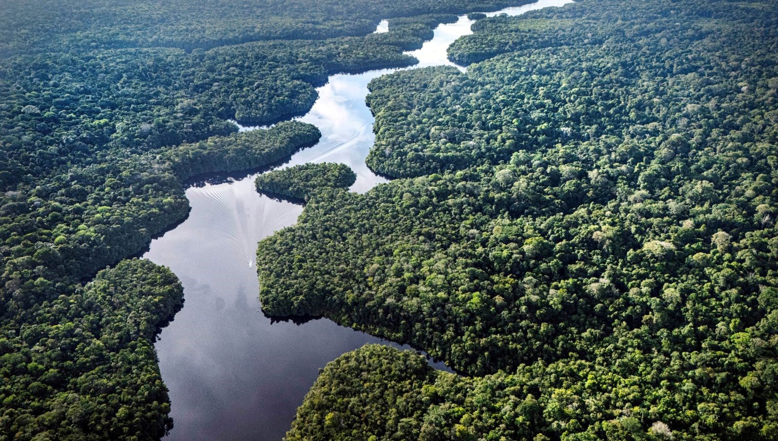 felakete geri sayim dunyanin en buyuk akcigeri kuruyor zvW1t46C