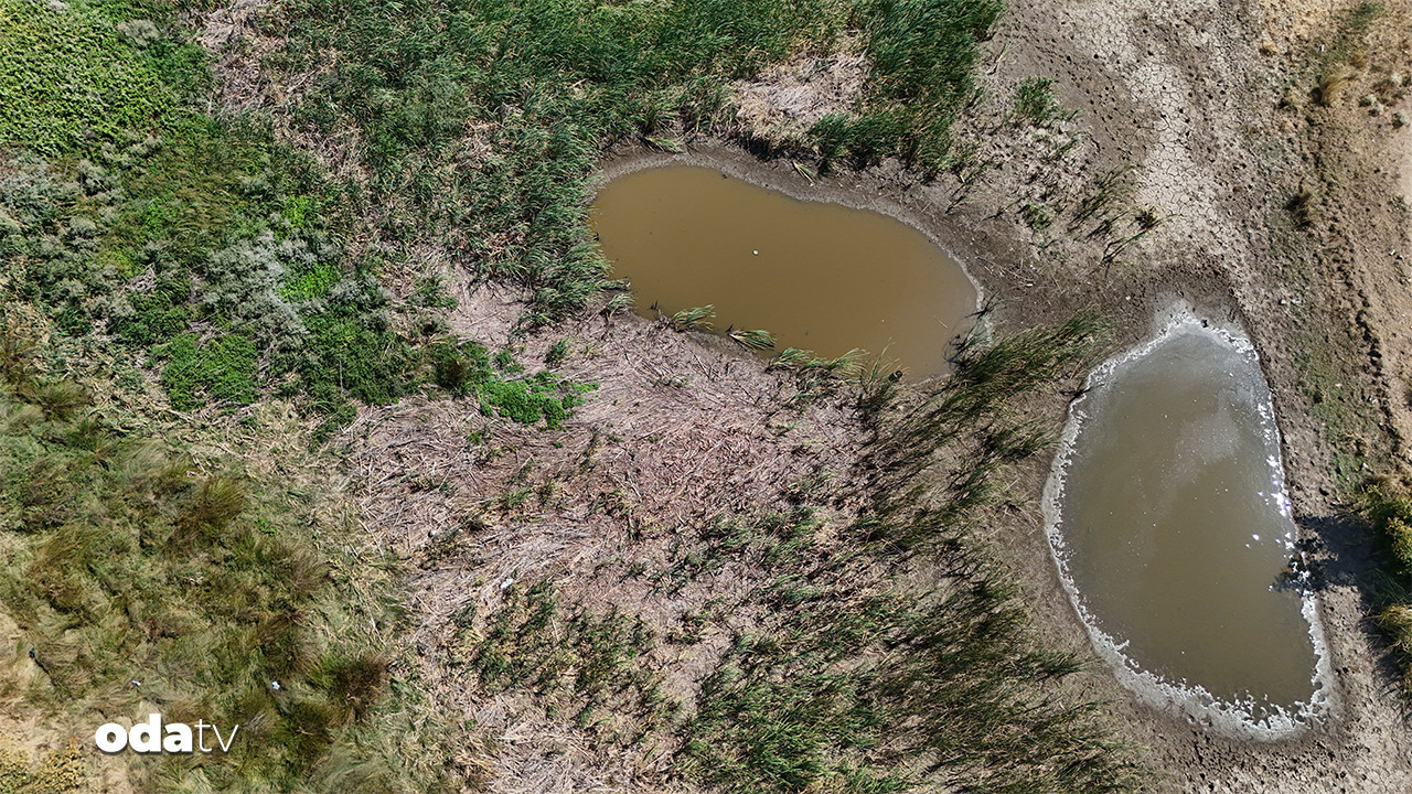 kirklarelinde kuraklik alarmi sazlik goleti kuruma noktasinda bQXJw9IJ