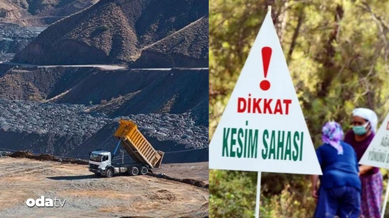 Rezerv bitmediyse madencilere ‘rehabilite’ şartı kalktı: ‘Orman yangınından beter’ rezerv bitmediyse madencilere rehabilite sarti kalkti orman yanginindan beter ALSDfmze