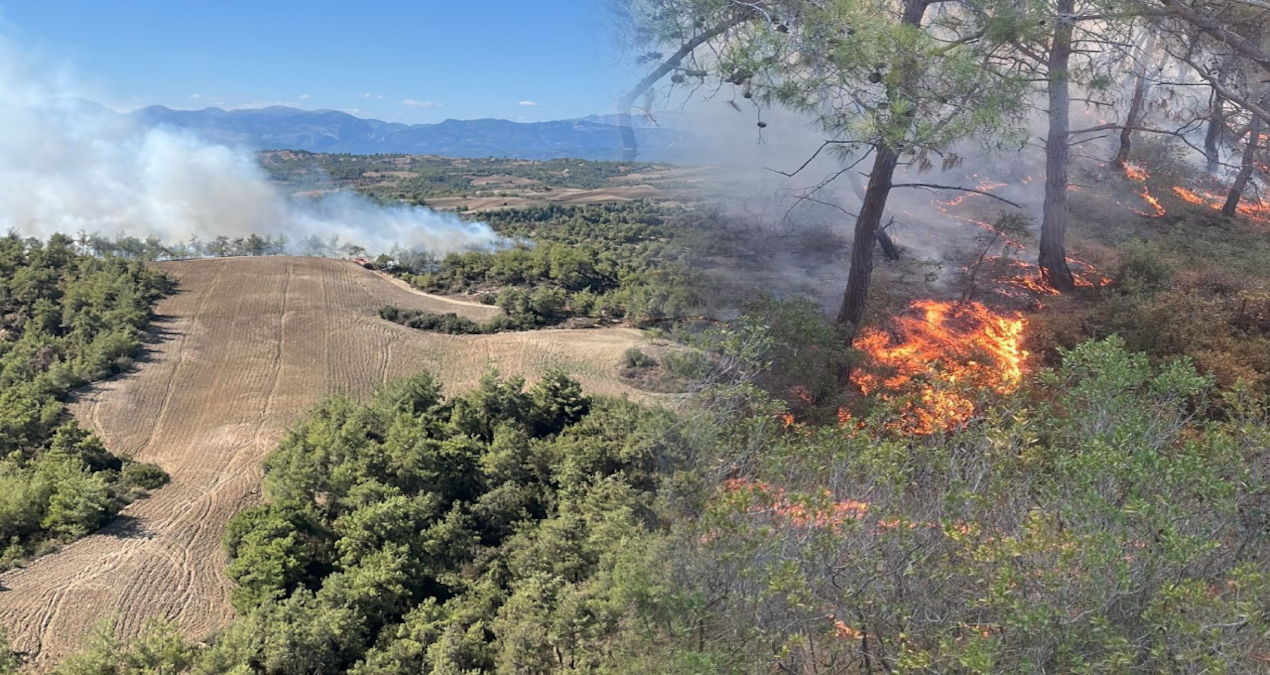 adananin saricam ilcesinde orman yangini cikti 5Cp2YSKV