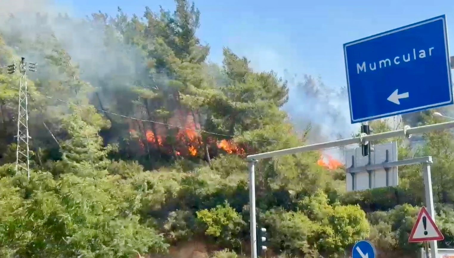 bodrum orman yangini kontrol altina alindi d4kED9WU