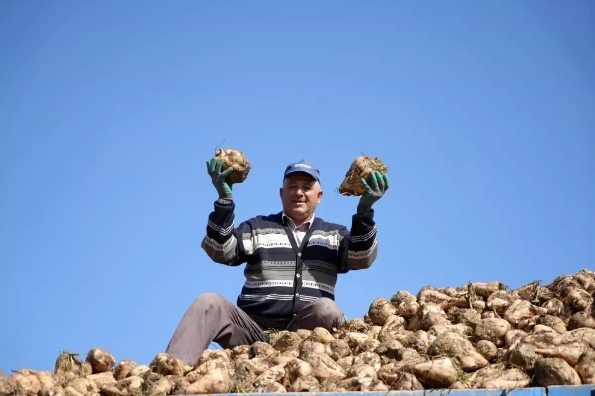 2025te seker arzinda sorun beklenmiyor pancar uretimi dusuyor OMuHqN8L.jpg