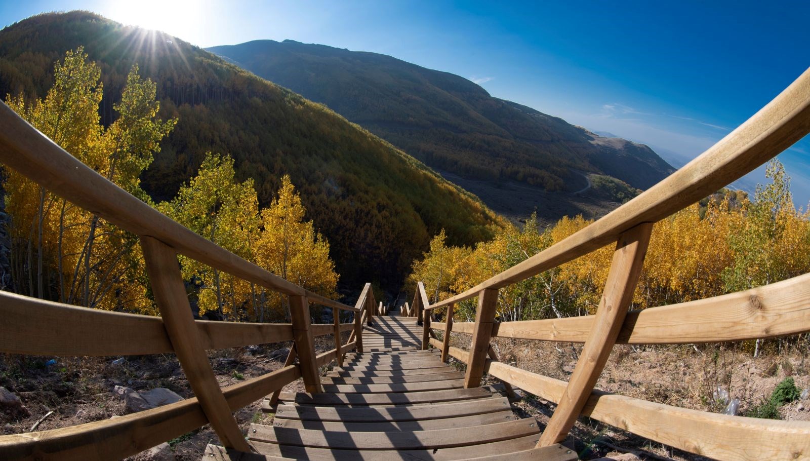 dogaseverlerin kayserideki sakli hazinesi ortaseki ormanlari ZsfQE98b