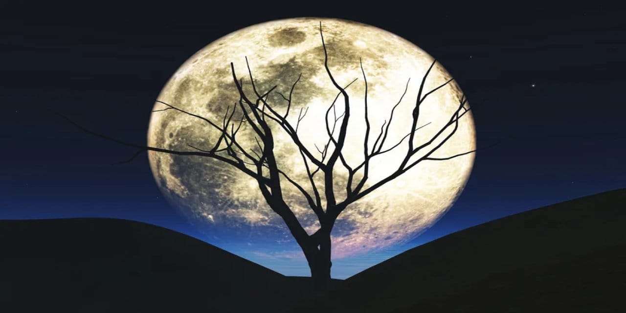 5 kasimda boga burcundaki dolunay neler geliyor neler gidiyor 2xJ1SIHu.jpg