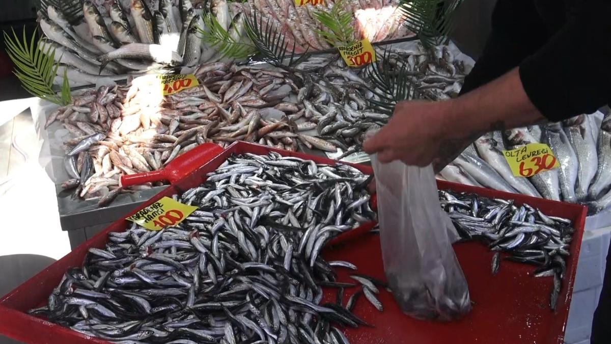 cankirida 100 liraya hamsi tezgahlarda Dd4u9xk9.jpg