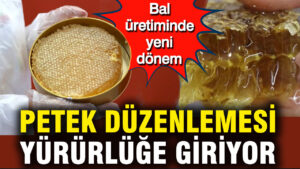 bal-uretiminde-yeni-donem-petek-duzenlemesi-yururluge-giriyor-rnsWI9Sc